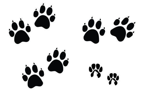Joanne's Pet Prints