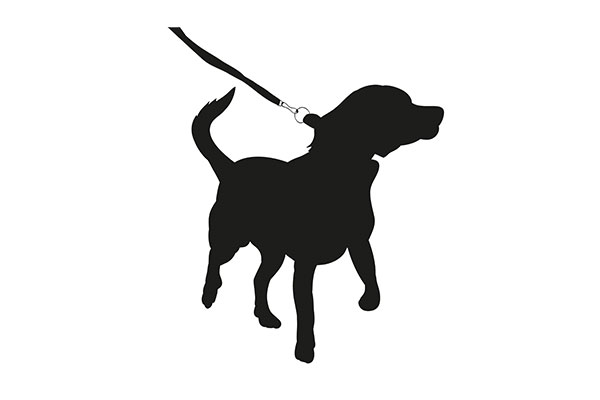 Bobbie Dog Walker