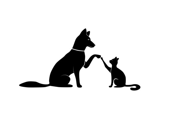 Christine's pets