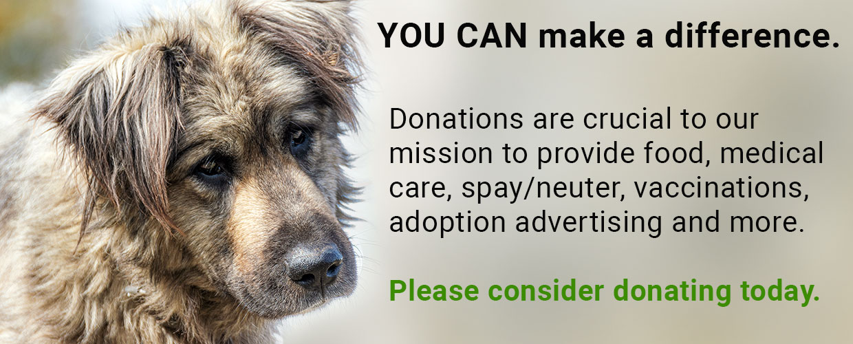 donation