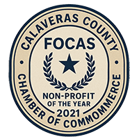 FOCAS Non-profit of the year 2021